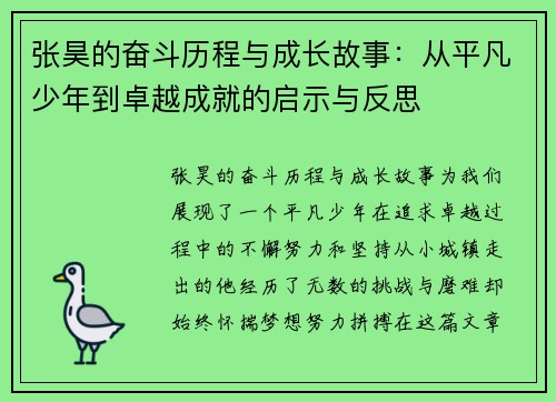 张昊的奋斗历程与成长故事：从平凡少年到卓越成就的启示与反思